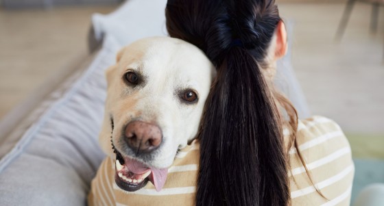栃木県 那須・板室の貸別荘・コテージ｜デュエットリゾートHana那須イタリア：ペットOK