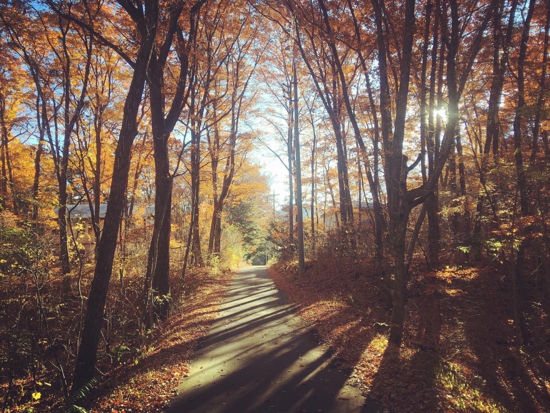 MORIKOYA -CHALET- 北軽井沢｜群馬県・北軽井沢・嬬恋・万座｜日常とはちょっと違う静かな森の暮らし
