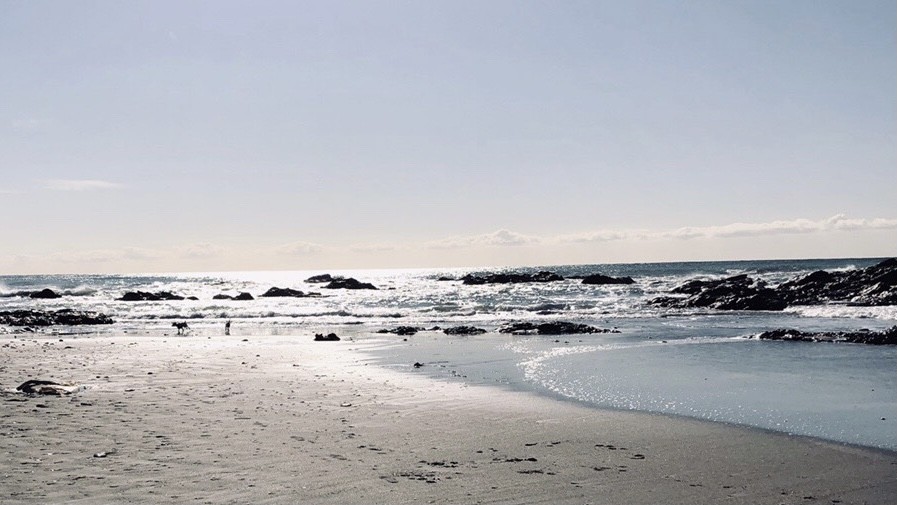 シーサイドガーデン　DAYOFF｜千葉県・館山・南房総｜デイオフ前のビーチ。楽しい遊びが満載です。