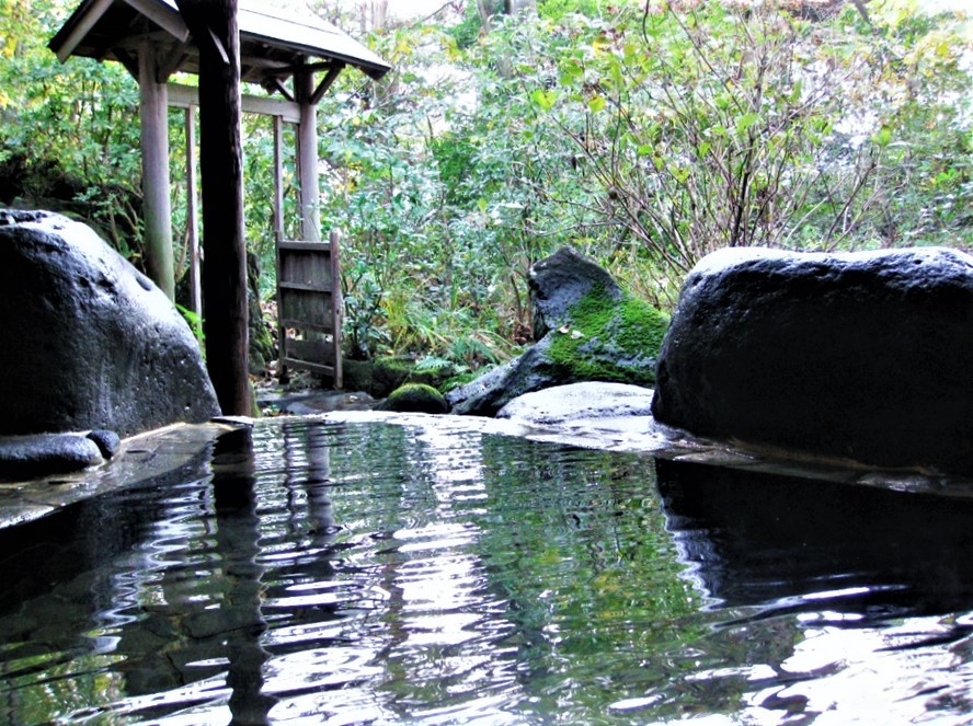 静岡県 伊豆高原のコテージ｜SEIRINKAN annex　別邸 静林館の写真：OutdoorBath