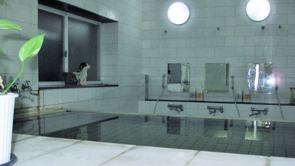 SEIRINKAN annex　別邸 静林館｜静岡県・伊豆高原｜内湯大浴場（温泉）