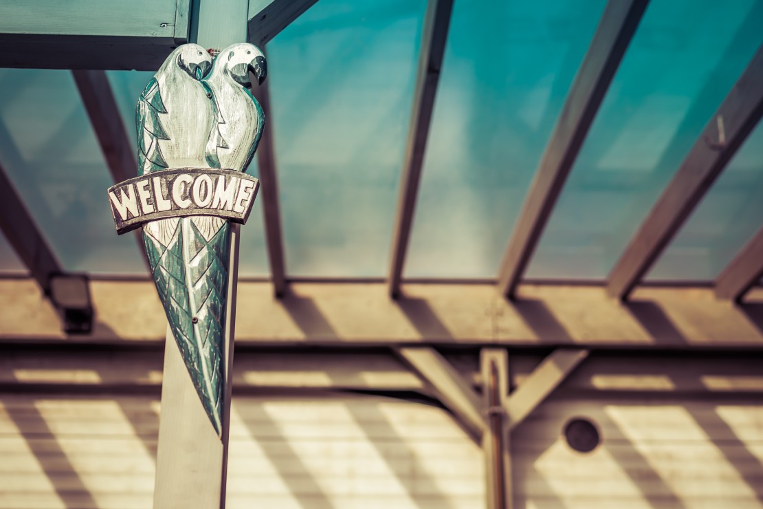 BINGE TRAILER FROG｜千葉県・館山・南房総｜詳細6