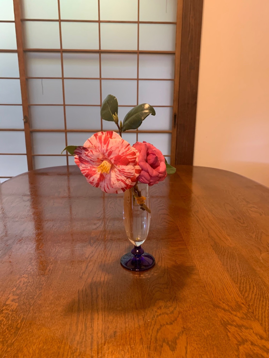 御宿こごひ｜静岡県・熱海｜詳細9