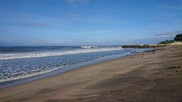 ロッジBu-chi（ロッジブーチ）｜千葉県・館山・南房総｜目の前の根本海岸です。