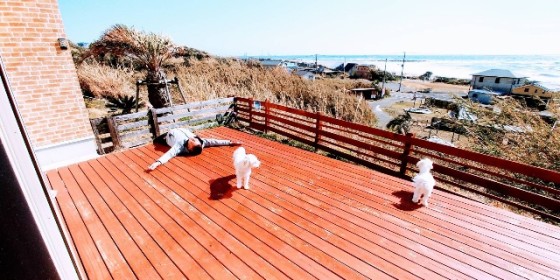 千葉県 館山・南房総の貸別荘・コテージ｜ロッジBu-chi（ロッジブーチ）：ペットOK