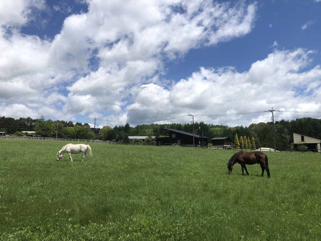 TETBURY COTTAGE｜山梨県・八ヶ岳・清里・小淵沢・大泉｜馬の放牧風景の場所へ徒歩２分