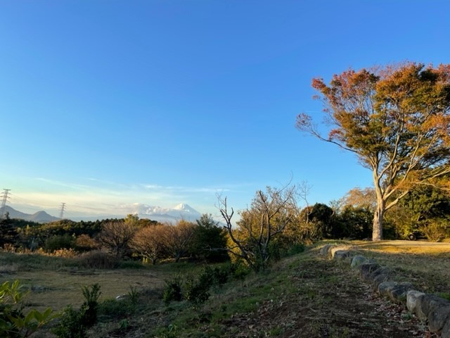 癒しの森スターヒルズ　夢の家｜静岡県・中伊豆｜２万坪の敷地内をお散歩出来ます。