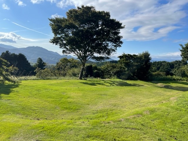 癒しの森スターヒルズ　アンの家｜静岡県・中伊豆｜広いピクニックパークで遊べる