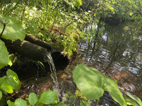 群馬県 北軽井沢・嬬恋・万座の貸別荘・コテージ｜森のログハウスSEN：庭付き