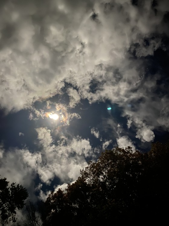 群馬県 北軽井沢・嬬恋・万座の貸別荘・コテージ｜森のログハウスSENの写真：星空が最高なコテージ