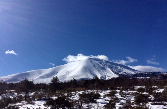 群馬県 北軽井沢・嬬恋・万座の貸別荘・コテージ｜森のログハウスSEN：高原