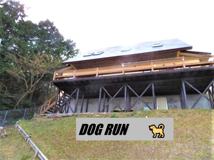 静岡県 東伊豆のコテージ｜コットンハウスの写真：ドックラン