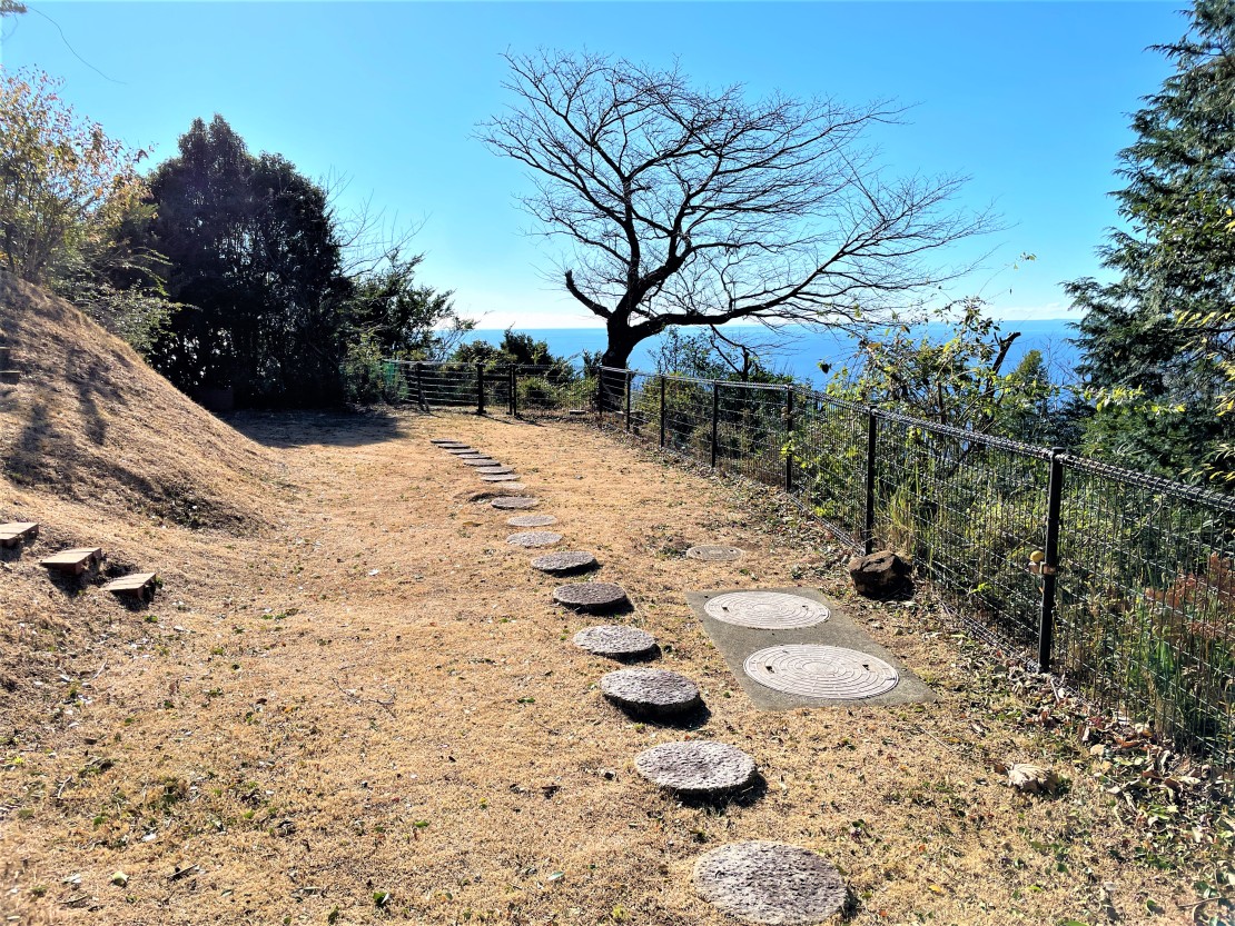 SAVANAQ【3879】｜静岡県・西伊豆｜ドックラン（中型犬まで対応）