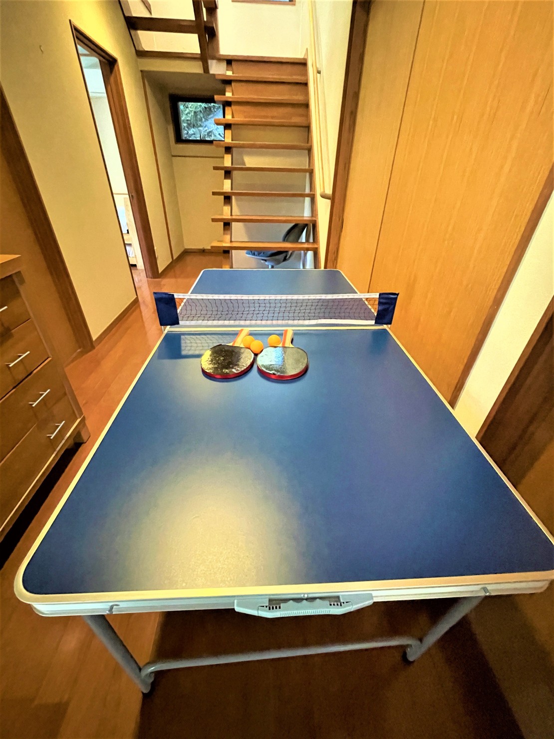 SAVANAQ【3879】｜静岡県・西伊豆｜卓球