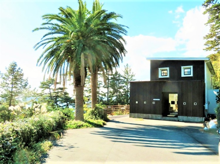 静岡県 東伊豆のコテージ｜パノラマビュー東伊豆の写真：海とヤシの木