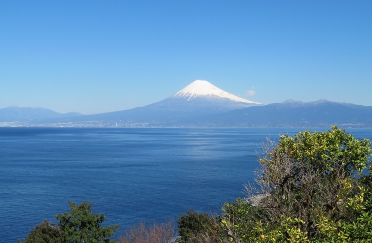 静岡県 西伊豆のコテージ｜NISHIIZU FREESIA GARDEN（西伊豆フリージアガーデン）の写真：西伊豆のコテージ