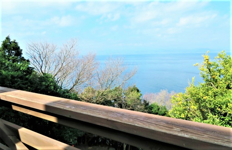 静岡県 西伊豆のコテージ｜NISHIIZU FREESIA GARDEN（西伊豆フリージアガーデン）の写真：BBQテラス