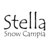 Stella Snow Campia 南信州　星空グランピング　“MOSS TENTS SITE”