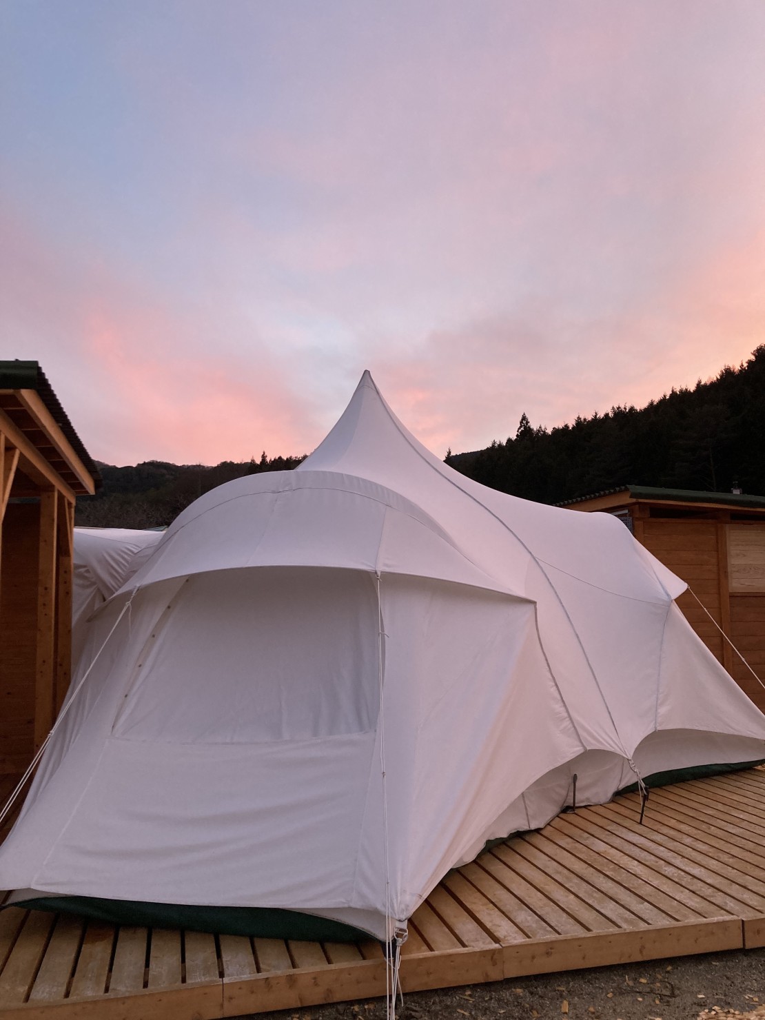 Stella Snow Campia 南信州　星空グランピング　“MOSS TENTS SITE”｜長野県・伊那・駒ヶ根・飯田・昼神｜MOSS TENTS CAMP SITE(0313)