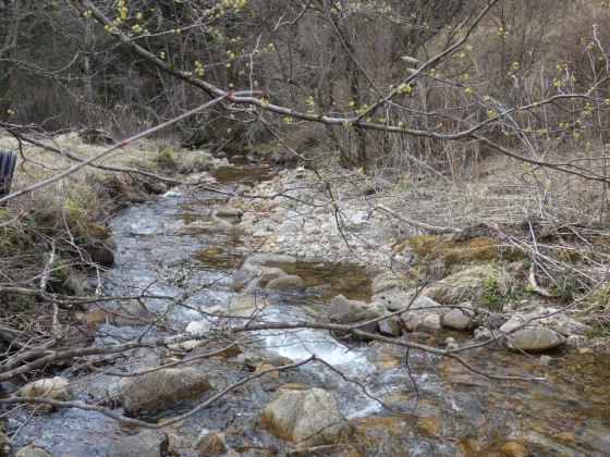 長野県 伊那・駒ヶ根・飯田・昼神の貸別荘・コテージ｜Stella Snow Campia 南信州　星空グランピング　“TINY HOUSE A・B”：川