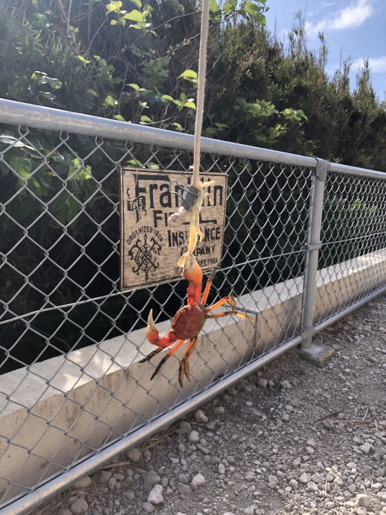 千葉県 館山・南房総の貸別荘・コテージ｜VILLA HALFMOON　【4LDK2棟/2LDK4棟】：川