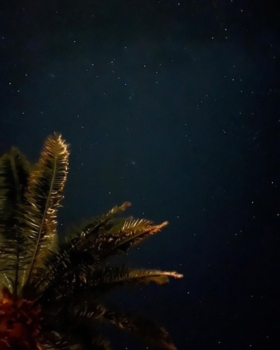 千葉県 館山・南房総の貸別荘・コテージ｜VILLA HALFMOON　【4LDK2棟/2LDK4棟】：天体観測・星空