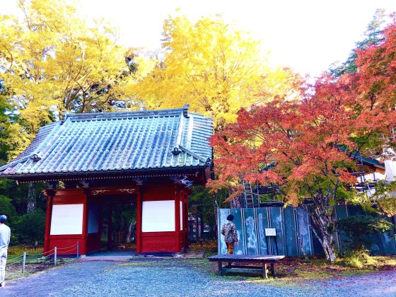 千葉県 館山・南房総の貸別荘・コテージ｜VILLA HALFMOON　【4LDK2棟/2LDK4棟】：紅葉スポット