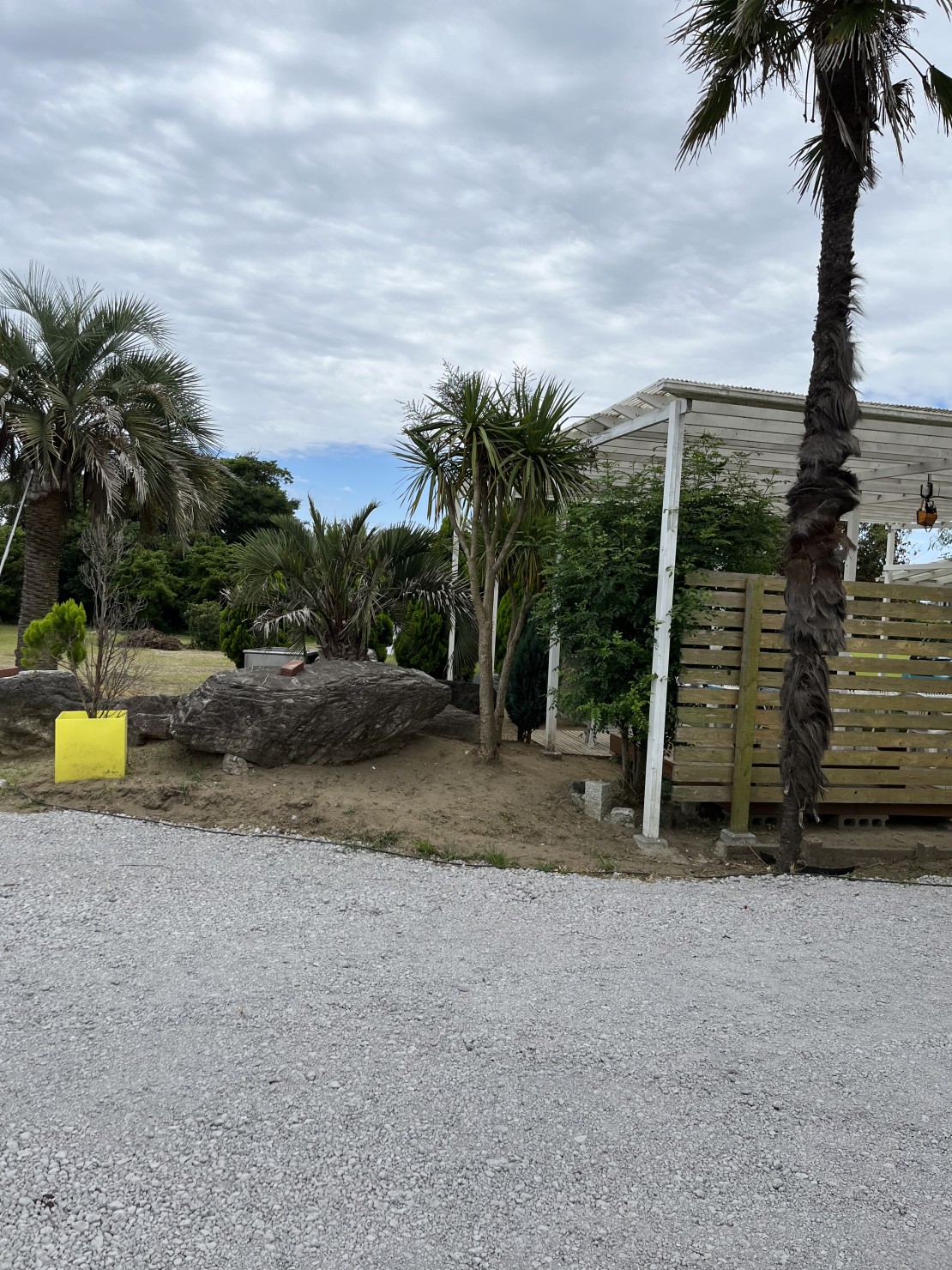 憩いの家　ふらっと別館バーベキュー in Annex｜千葉県・九十九里・銚子｜南国ムードたっぷりな特大の大きなヤシ