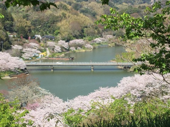 千葉県 木更津・君津・富津の貸別荘・コテージ｜BASK HOTA：季節の花