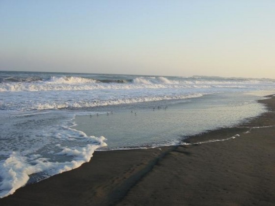 千葉県 九十九里・銚子の貸別荘・コテージ｜シーサイドハウス癒：学生旅行