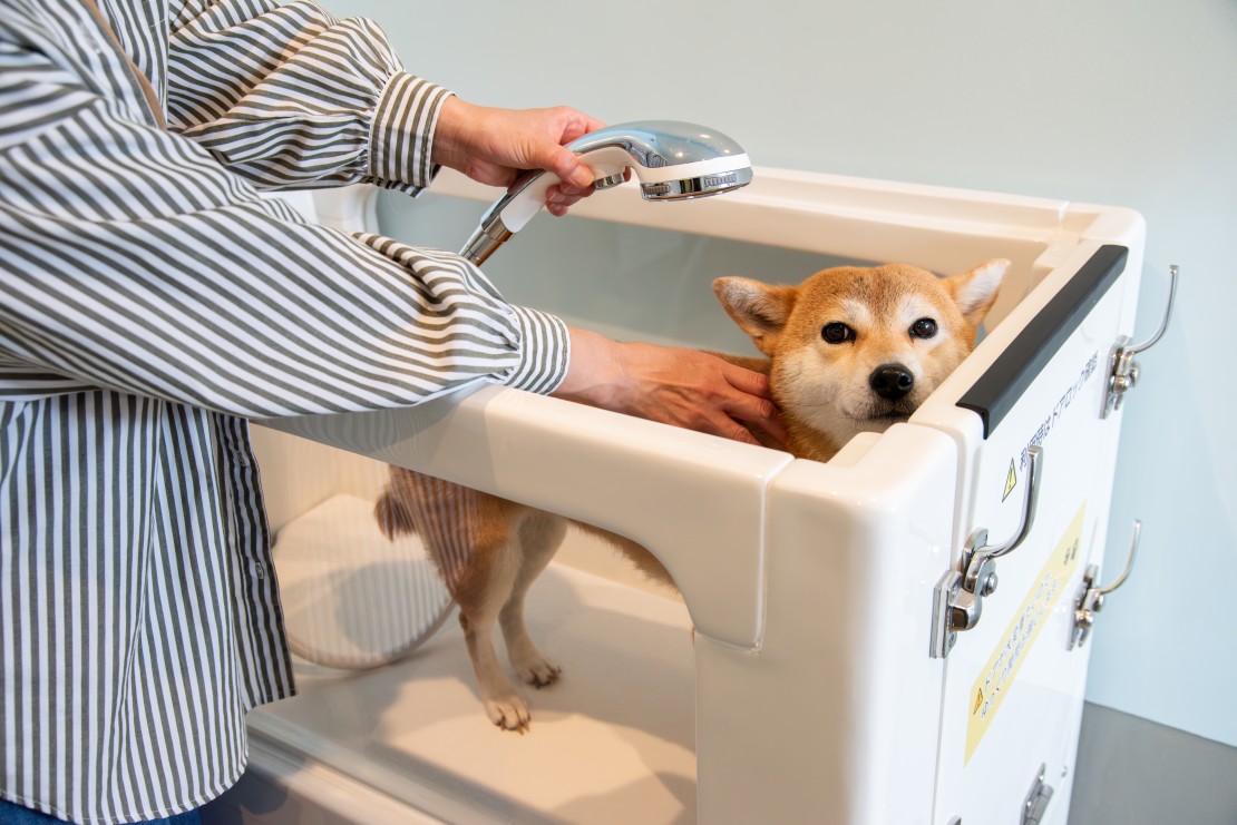 Dog Villa SAMPO（ドッグ ヴィラ サンポ）｜千葉県・館山・南房総｜トリミングルーム
ワンちゃん用のお風呂
シャワーはマイクロバブル