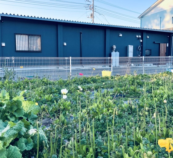 千葉県 館山・南房総の貸別荘・コテージ｜staydio no-nameの写真：一軒家のコテージ