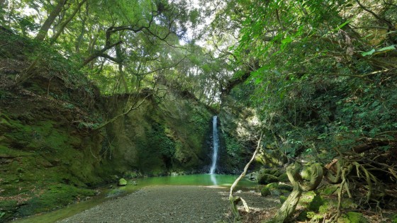 千葉県 館山・南房総の貸別荘・コテージ｜staydio no-name：山