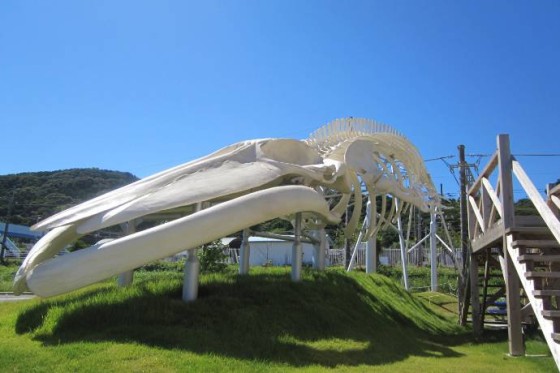 千葉県 館山・南房総の貸別荘・コテージ｜staydio no-name：公園近隣