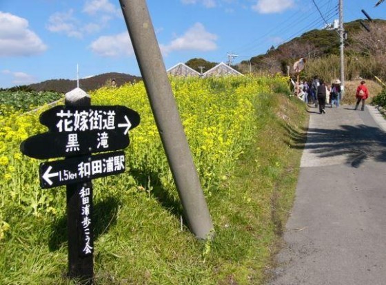 千葉県 館山・南房総の貸別荘・コテージ｜staydio no-name：ハイキング