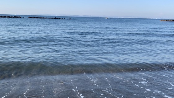 千葉県 木更津・君津・富津の貸別荘・コテージ｜ﾎﾃﾙ&ｸﾞﾗﾝﾋﾟﾝｸﾞ ACT FUTTSU：海