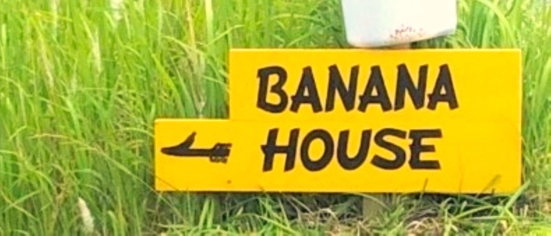 金谷バナナハウス｜千葉県・木更津・君津・富津｜楽しさとリラクゼーション最強のコテージです🏠

皆様で是非良き時間をお過ごし下さい♪