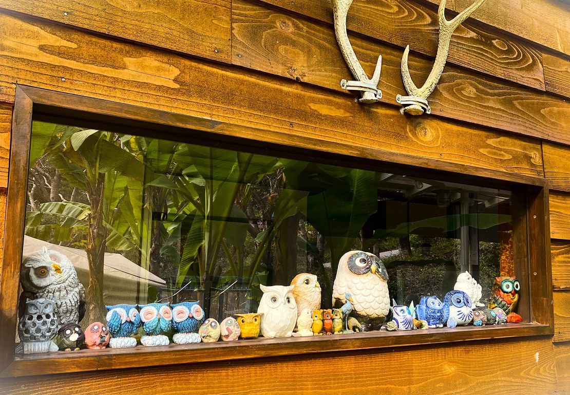 金谷バナナハウス｜千葉県・木更津・君津・富津｜バナナハウスは、ホ～っと不苦労🦉