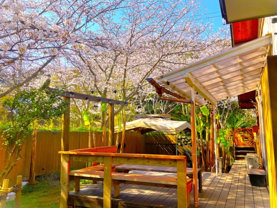 千葉県 木更津・君津・富津の貸別荘・コテージ｜金谷バナナハウス：季節の花