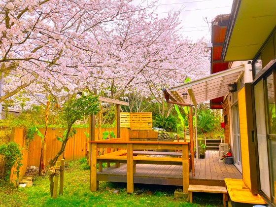 千葉県 木更津・君津・富津の貸別荘・コテージ｜金谷バナナハウス：学生旅行