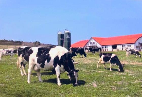 千葉県 木更津・君津・富津の貸別荘・コテージ｜金谷バナナハウス：レジャー施設