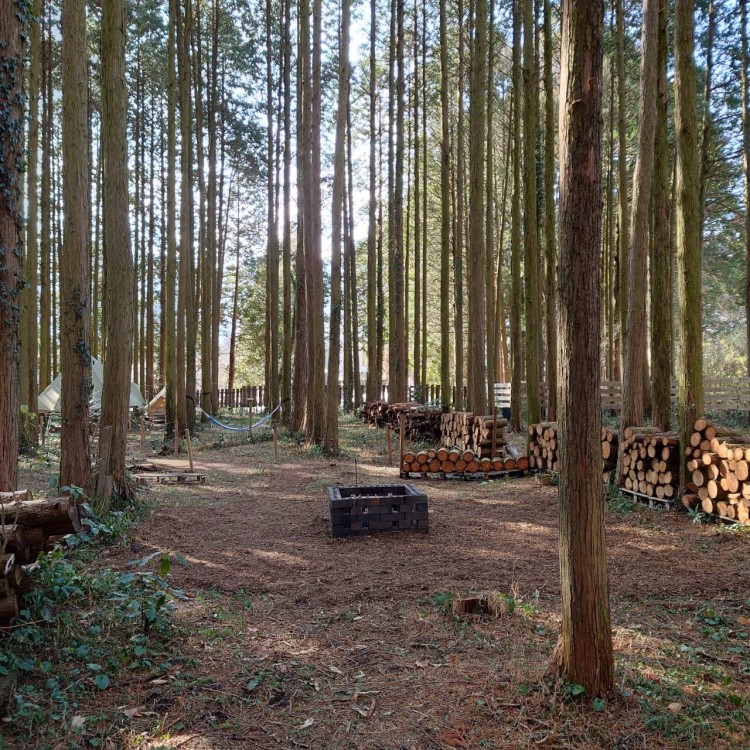 熊本県 阿蘇のグランピング｜南阿蘇STAYHAPPYの写真：林間サイト