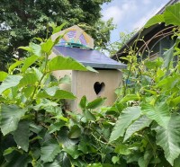 鳥と木の実 ホリホック