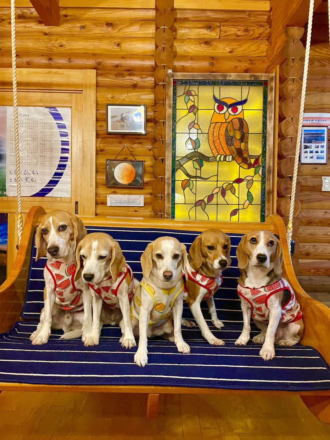 ふくろう山荘｜北海道・釧路・阿寒・根室・川湯・屈斜路｜リビング；ブランコもあります。
ふくろうのステンドグラスも素敵でしょう。ブランコはワンちゃんにも人気です。