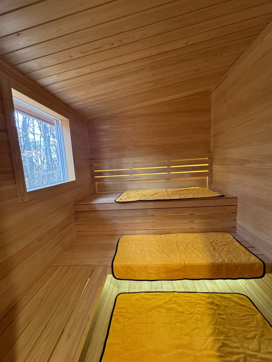 Second House sch-sch（スクスク）｜群馬県・北軽井沢・嬬恋・万座｜窓から見える森の木立、山の稜線に心癒されながらロウリュをお楽しみください。