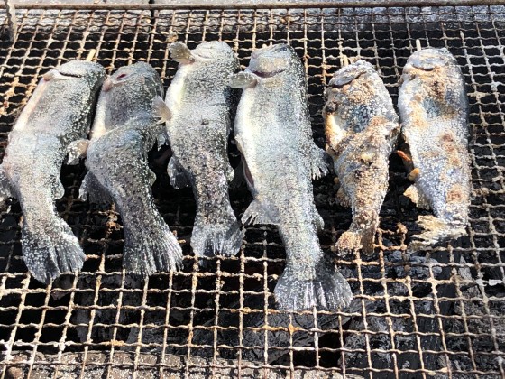 群馬県 北軽井沢・嬬恋・万座の貸別荘・コテージ｜Second House sch-sch（スクスク）：釣り