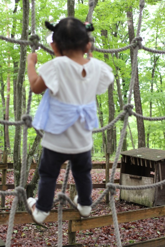 群馬県 北軽井沢・嬬恋・万座の貸別荘・コテージ｜Second House sch-sch（スクスク）：アスレチック