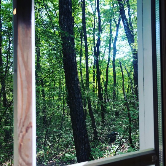 群馬県 北軽井沢・嬬恋・万座の貸別荘・コテージ｜Second House sch-sch（スクスク）：避暑地