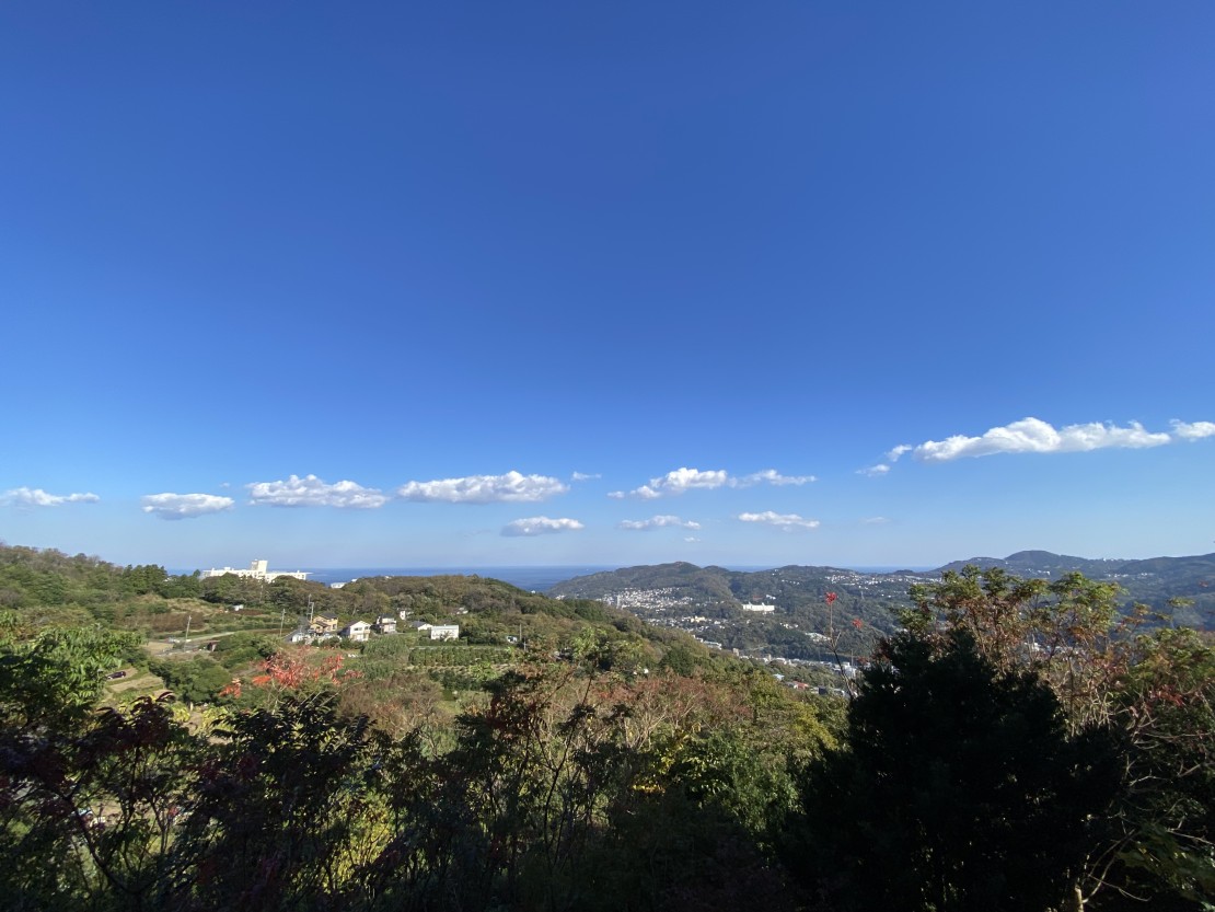 みずき亭｜静岡県・伊東・宇佐美・川奈｜詳細18