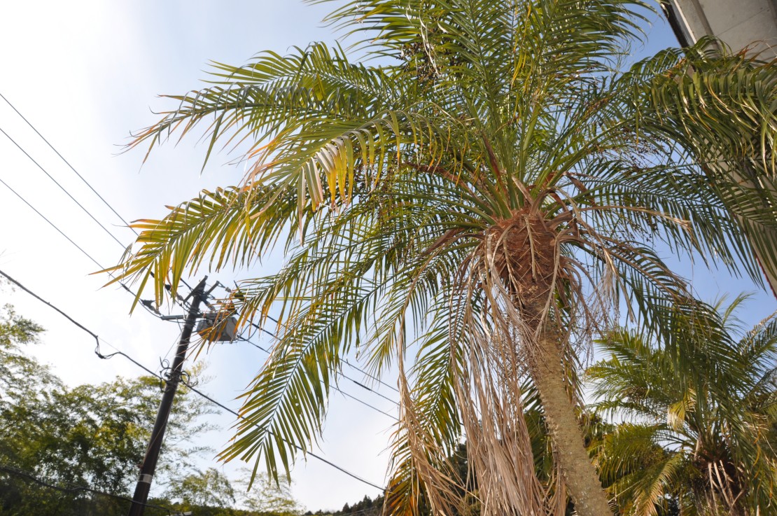 サウンドシャトー伊豆｜静岡県・伊豆高原｜詳細6